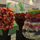 Выставка Flowers and Hortech